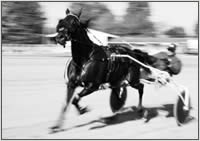 Cheval